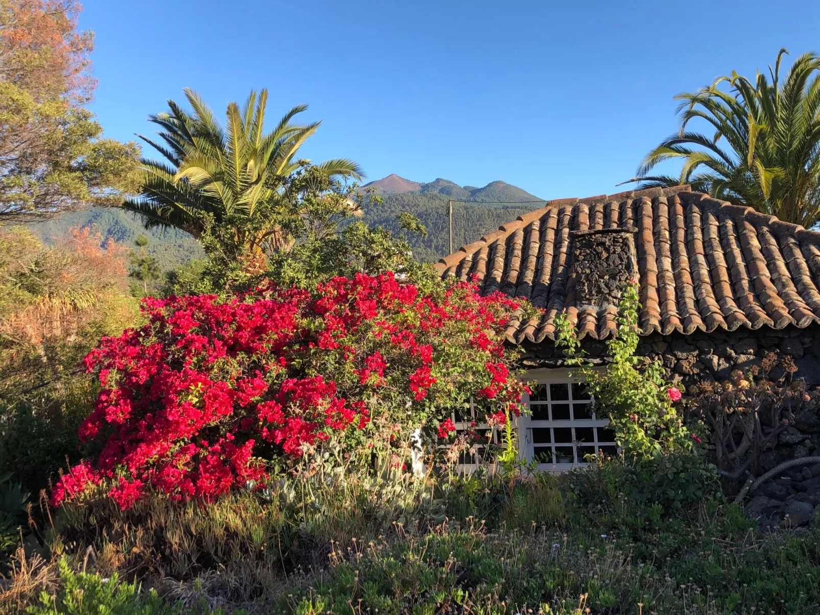 Las Tortugas - Buiten