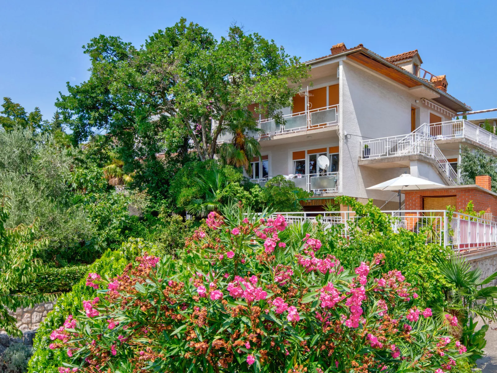 DUDA 1 / HR-02301-01 - Image-tags.info