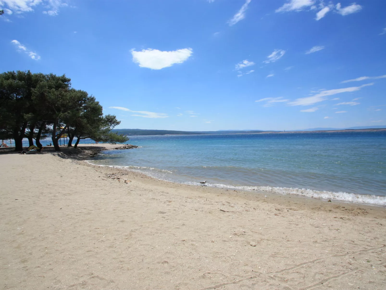 ARBORETUM 3 / HR-09911-01 - Image-tags.info