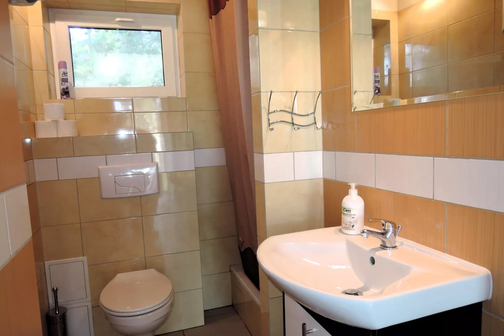 Holiday complex in Jezierzyce by Szczecin at the lake for 4 persons 30 qm Typ B Zielony - Badkamer