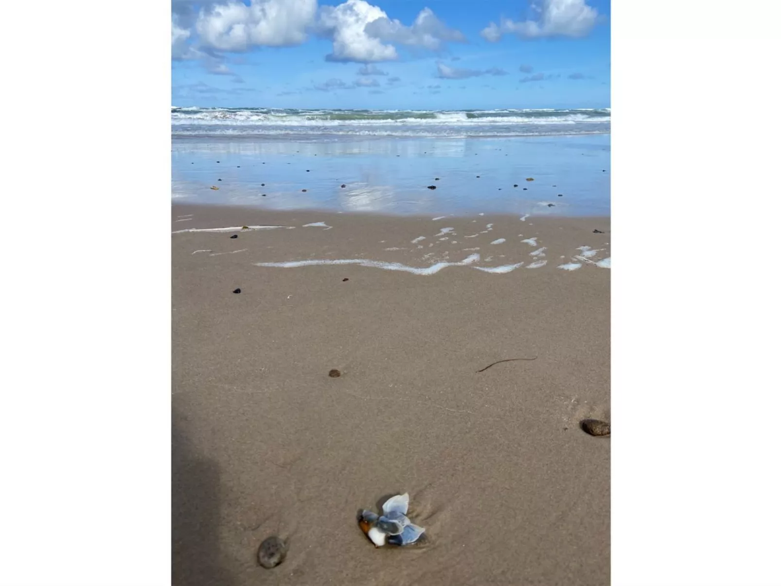 "Walderik" - 423m from the sea - Buiten