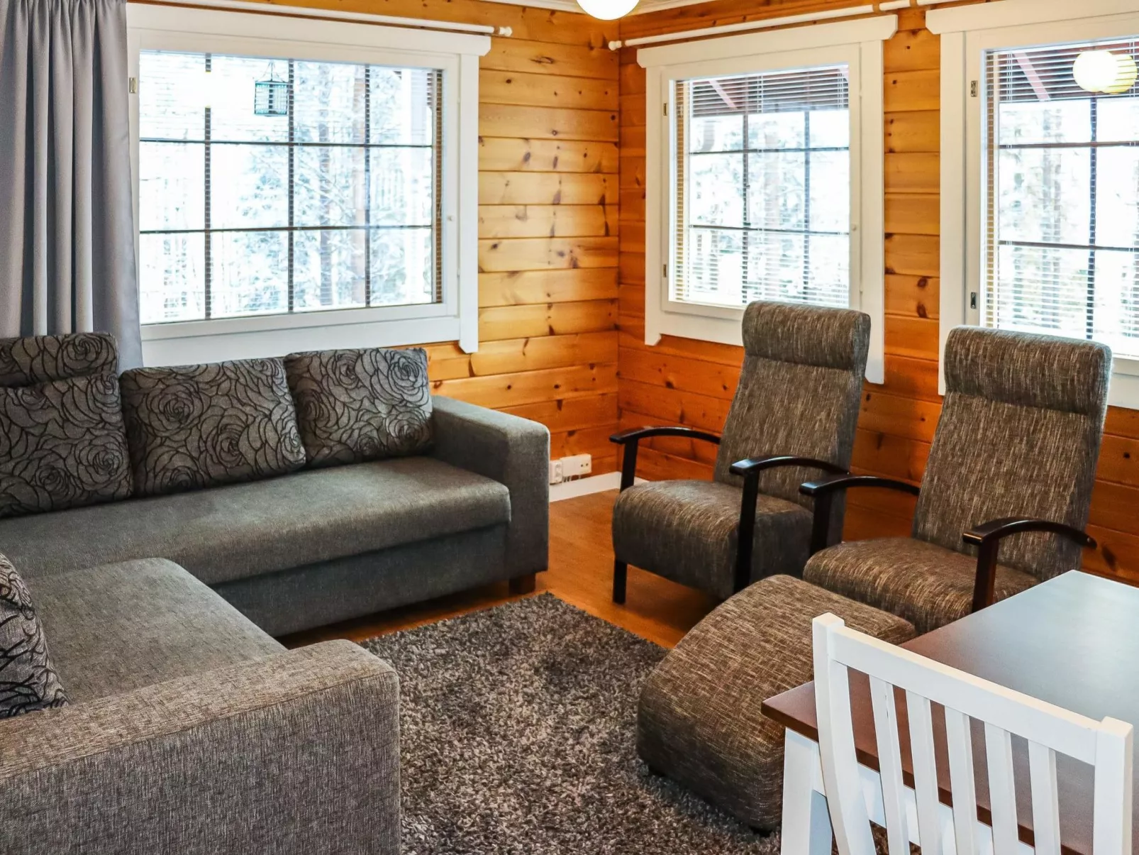 Alppikylä 8a paritalo - Binnen