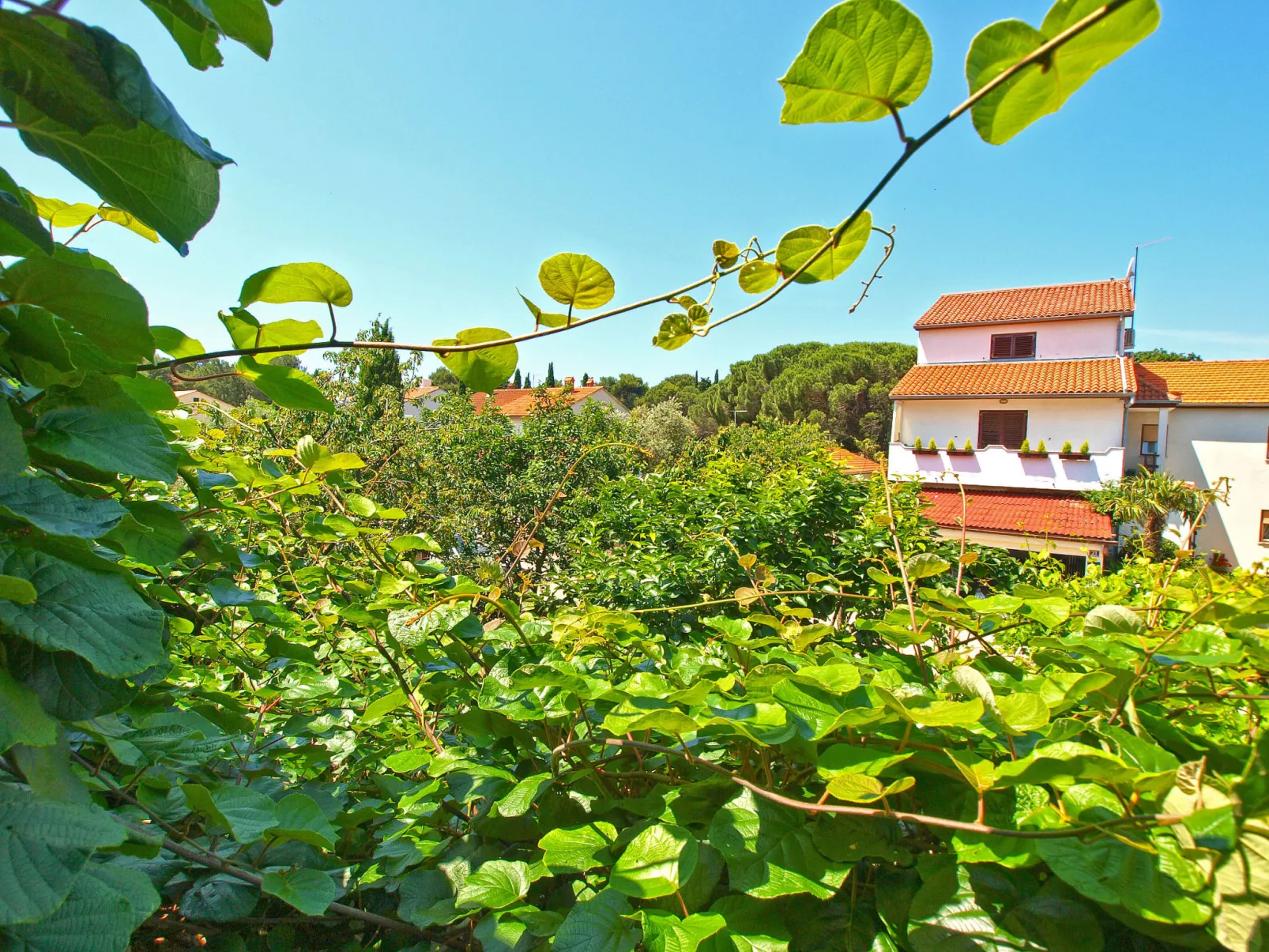 Apartment 1023 - Image-tags.info