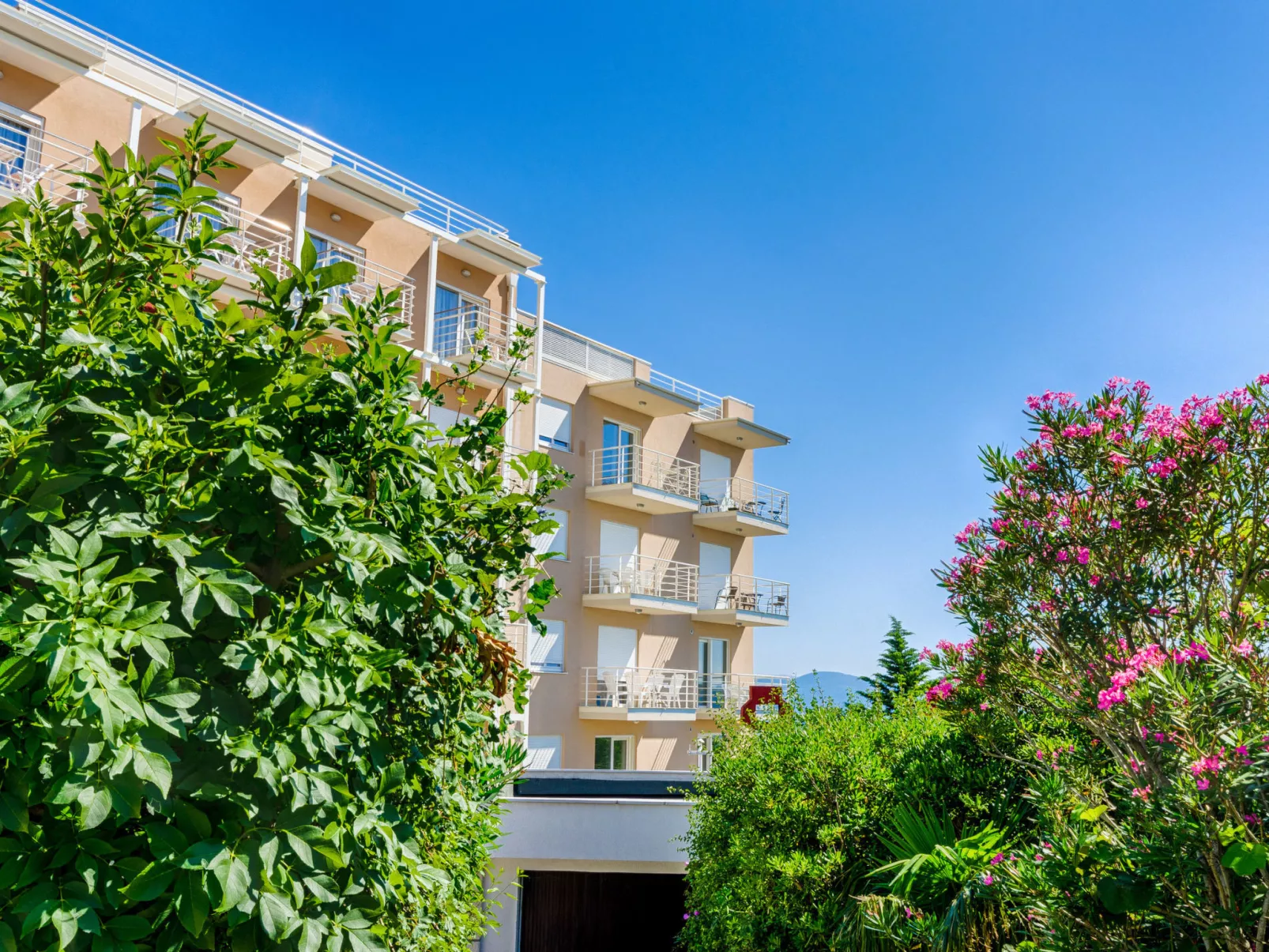 Amy / HR-09948-01 - Image-tags.info