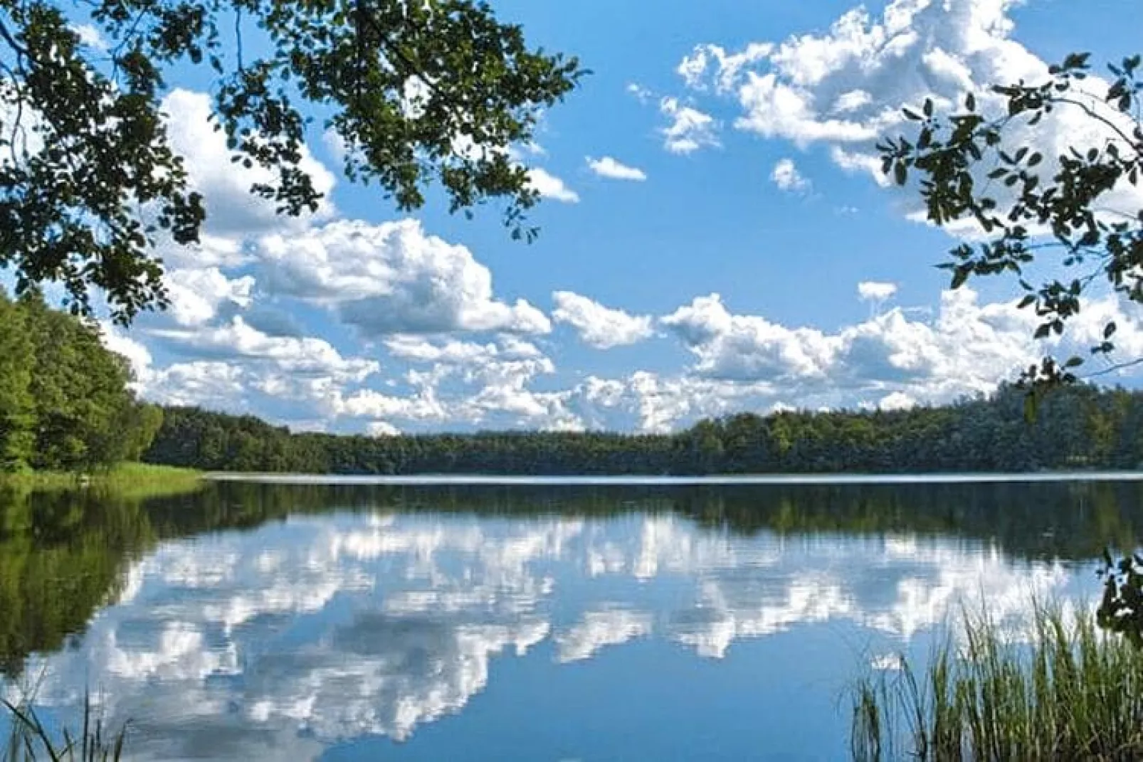 Domek letniskowy Dąbrowica-Waterzicht