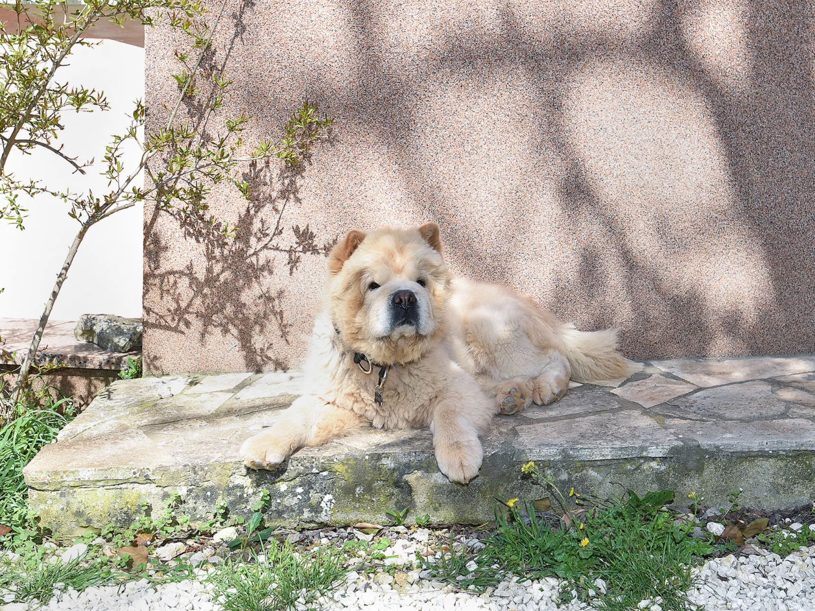 Apartment 2315 - Image-tags.info