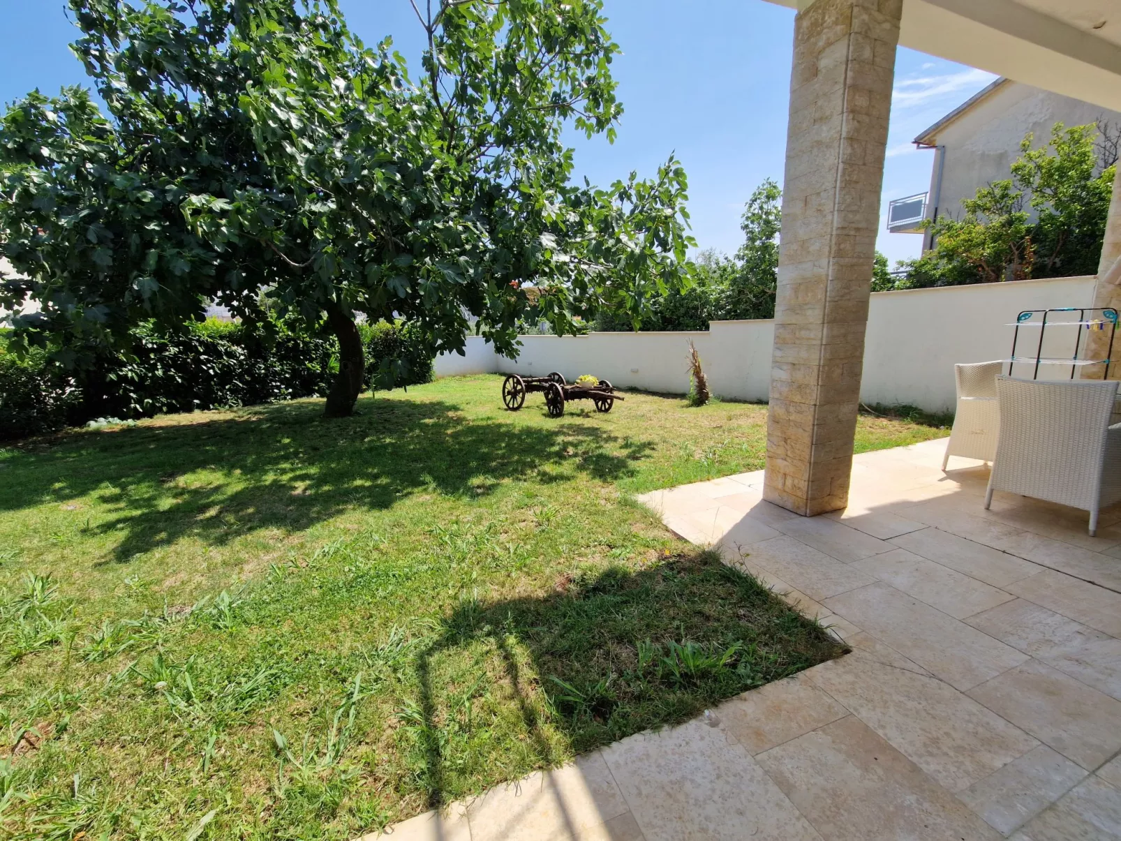 House Viola - Image-tags.info