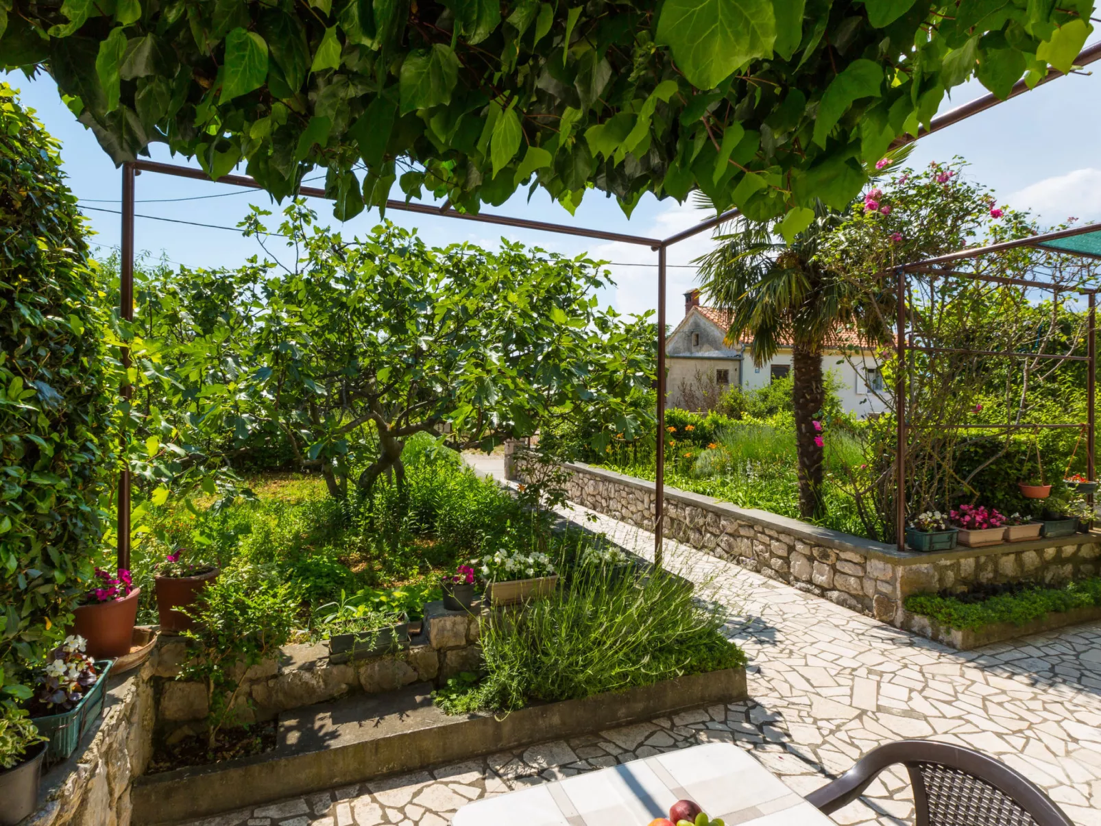 Andelka / HR-09490-01 - Image-tags.info