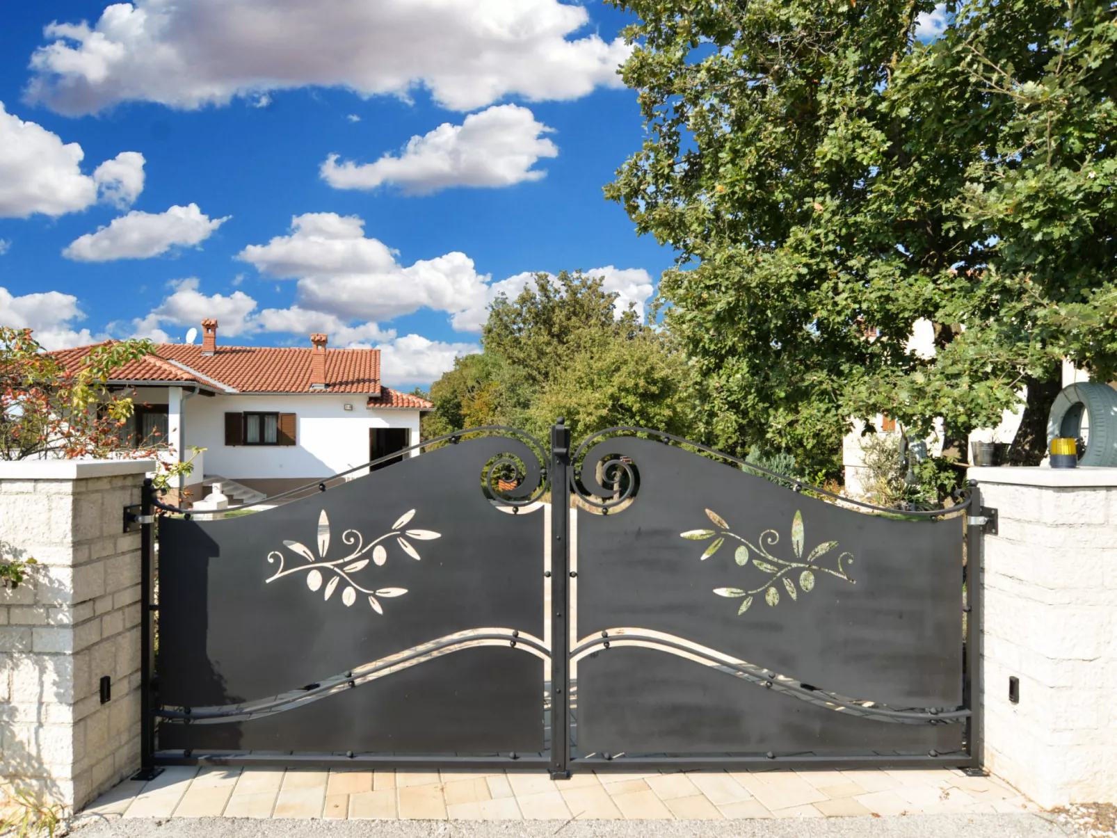 Apartment 1561 - Image-tags.info