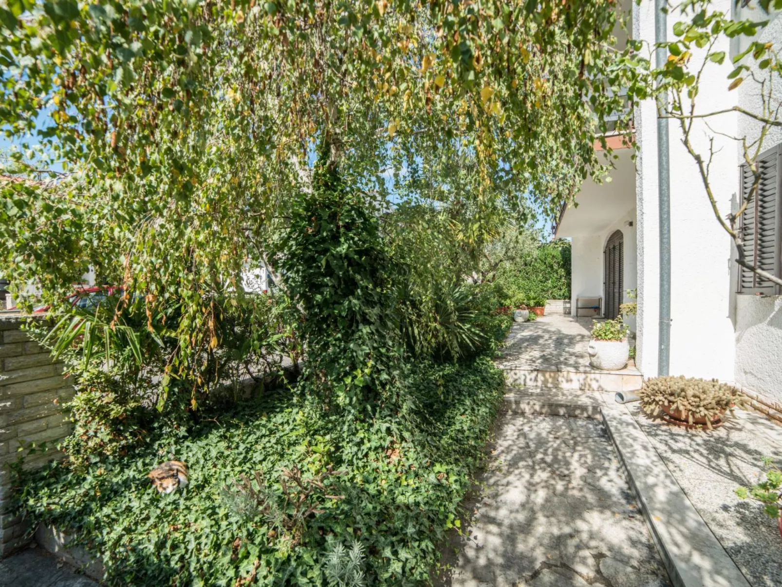 Apartment 793 - Image-tags.info