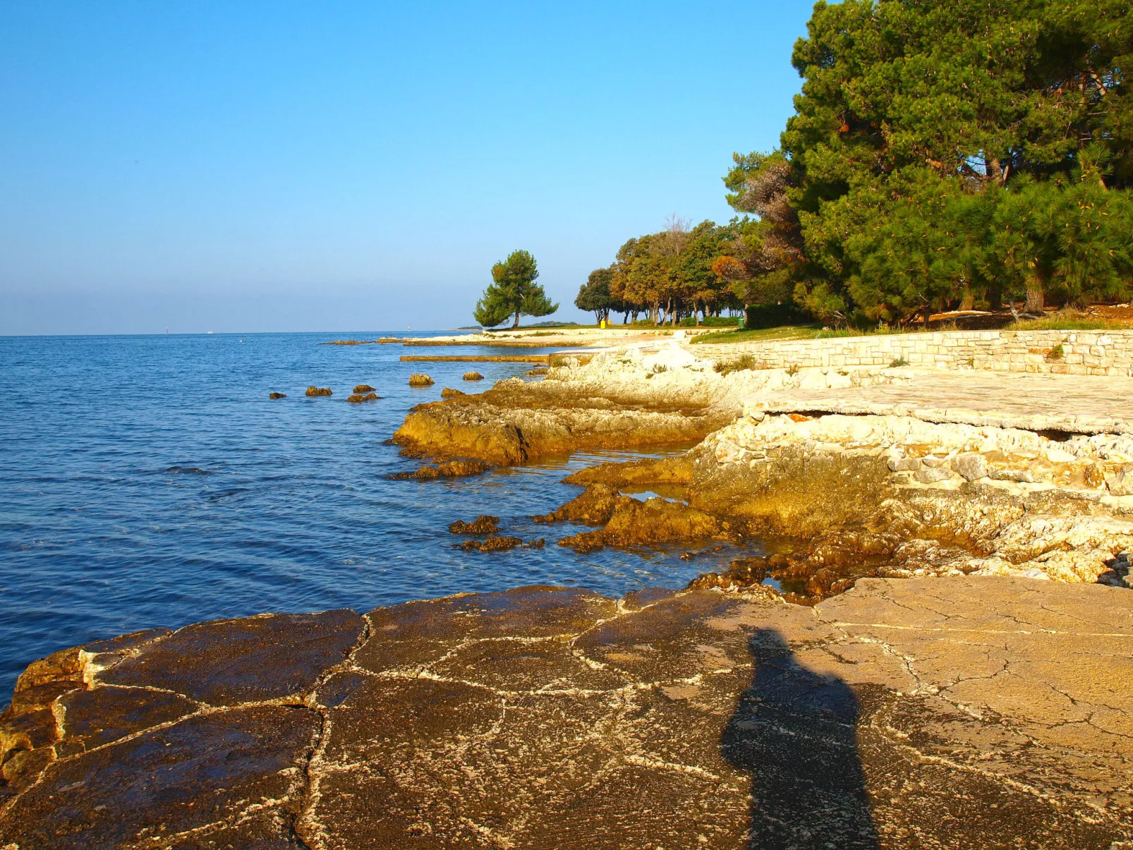 Apartment 2074 - Image-tags.info