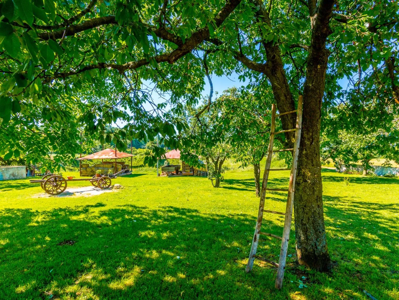 Grande - Image-tags.info