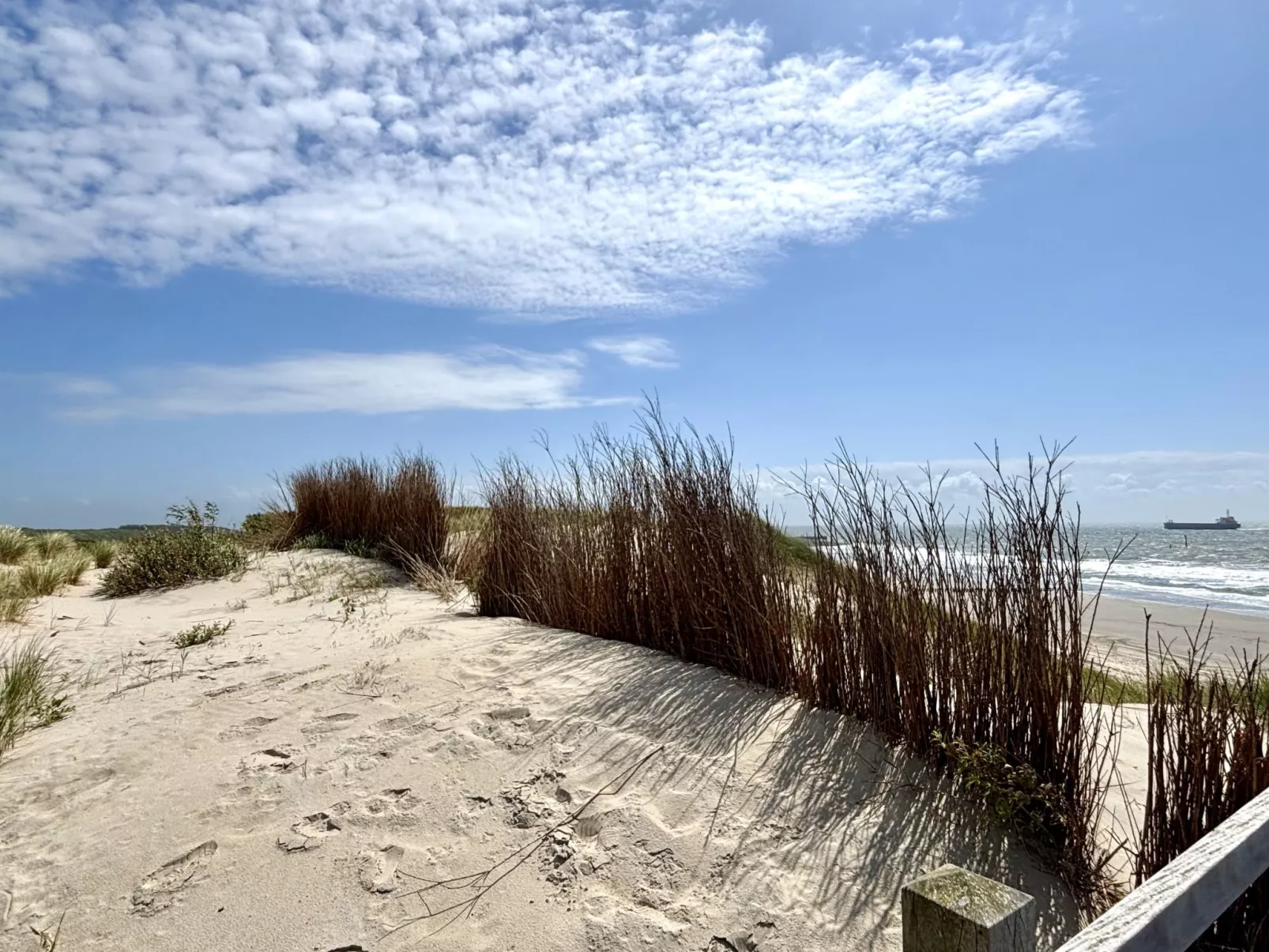 Duinstrand Sauna F - Omgeving