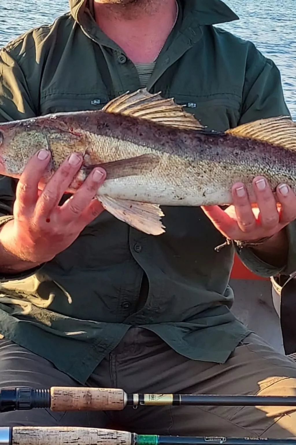 Gemütliches Cottage mit Whirlpool - Image-tags.info