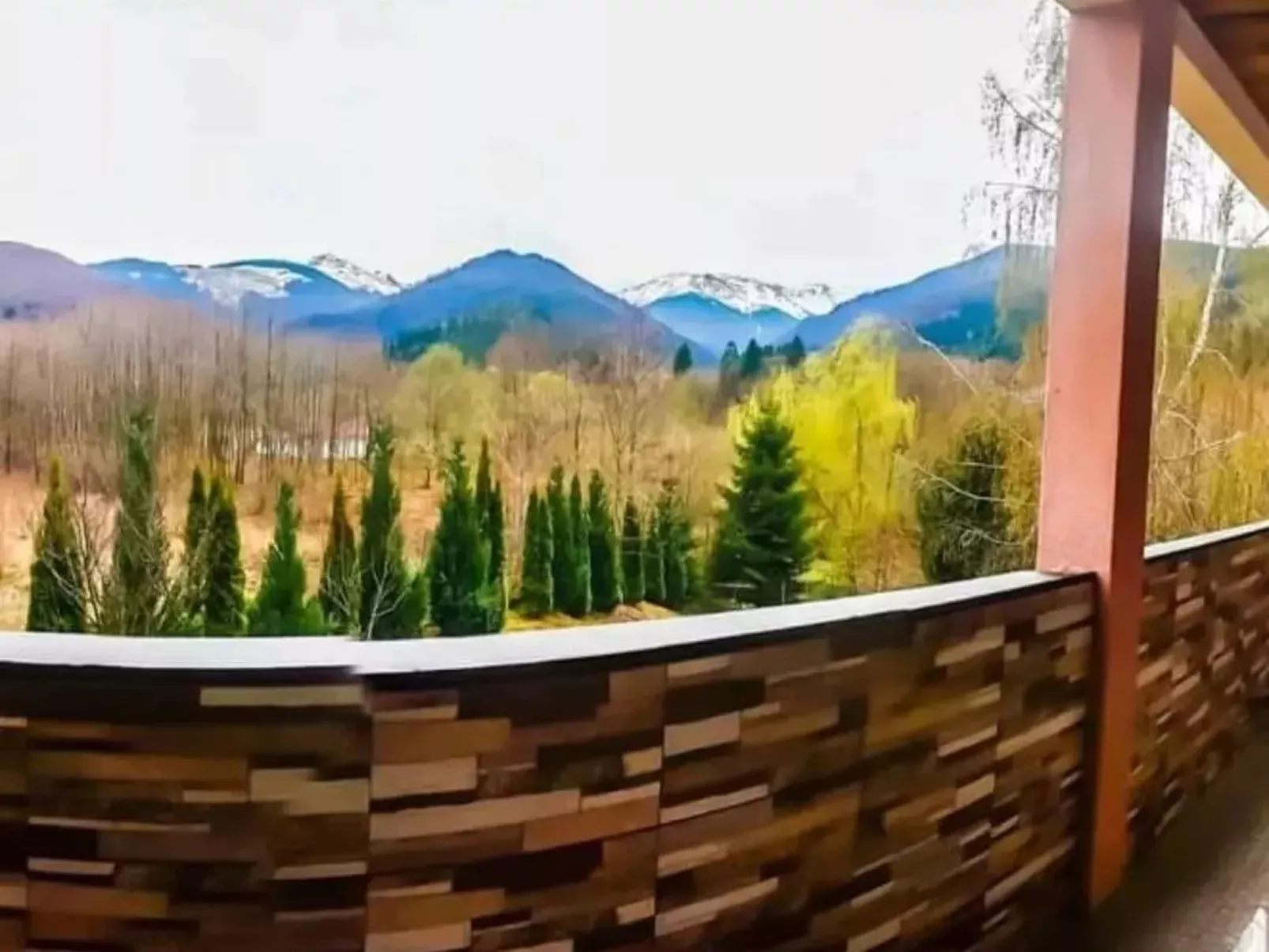 Vila Roberta Breaza Brasov - Buiten