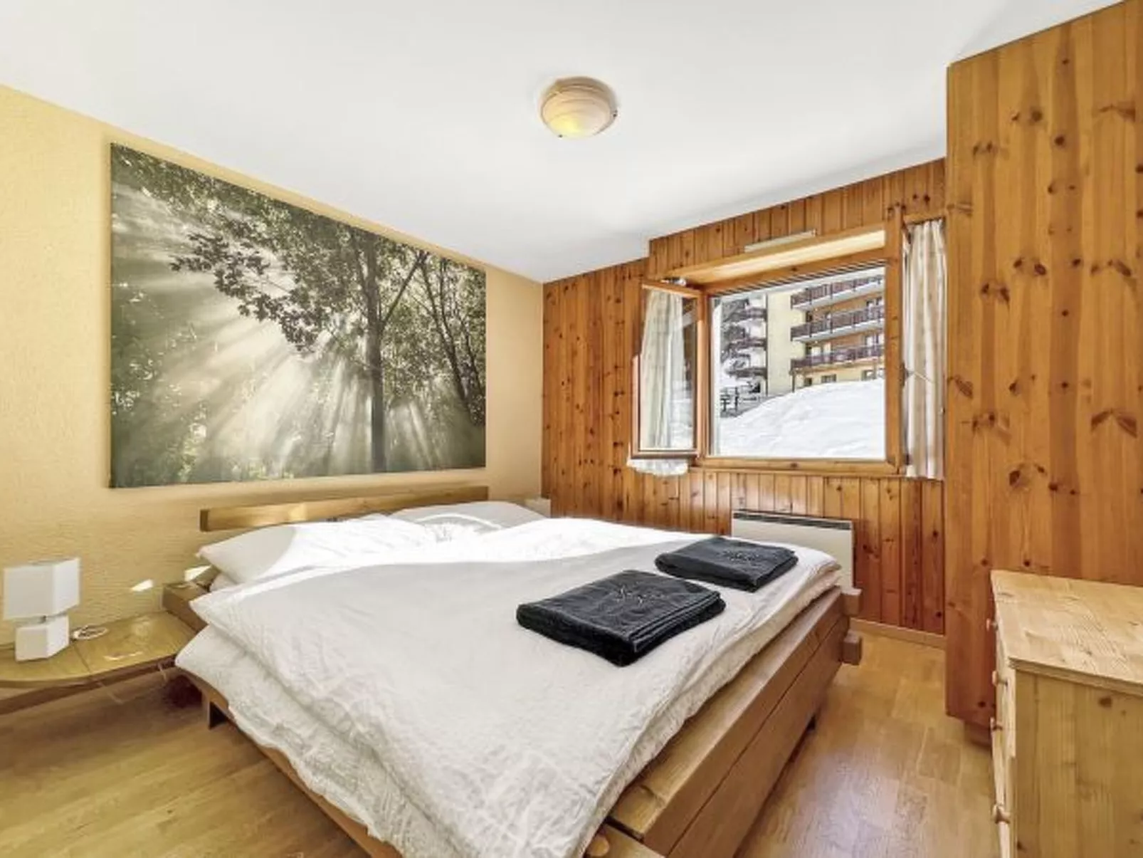 Prachalier II - Proche télécabine de Nendaz - Binnen