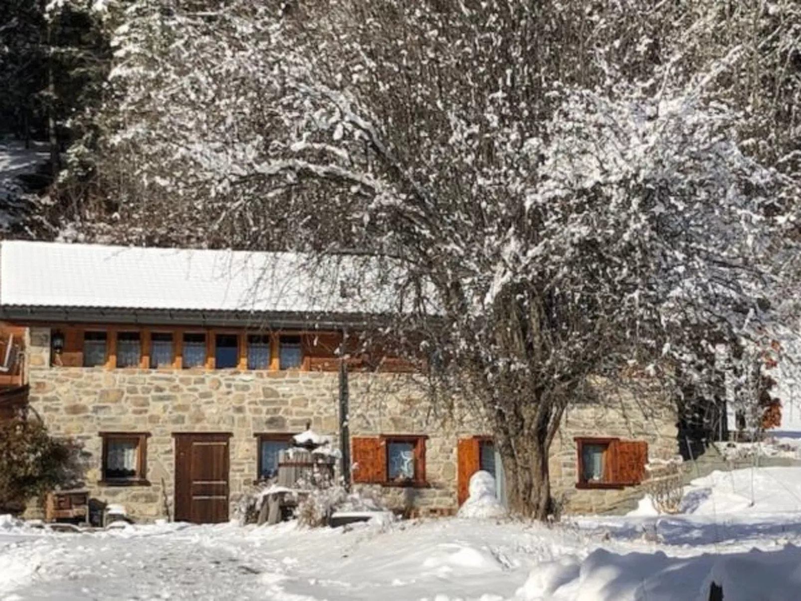 A l'Orée du Bisse - Anzère - Buiten