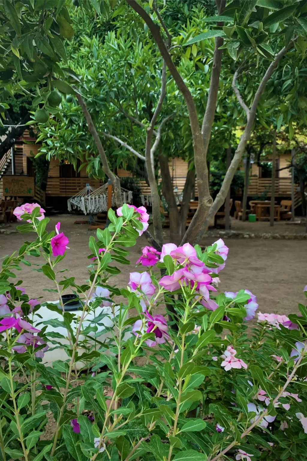 Luxuriöse Duplex-Wohnungen in Cirali - Buiten