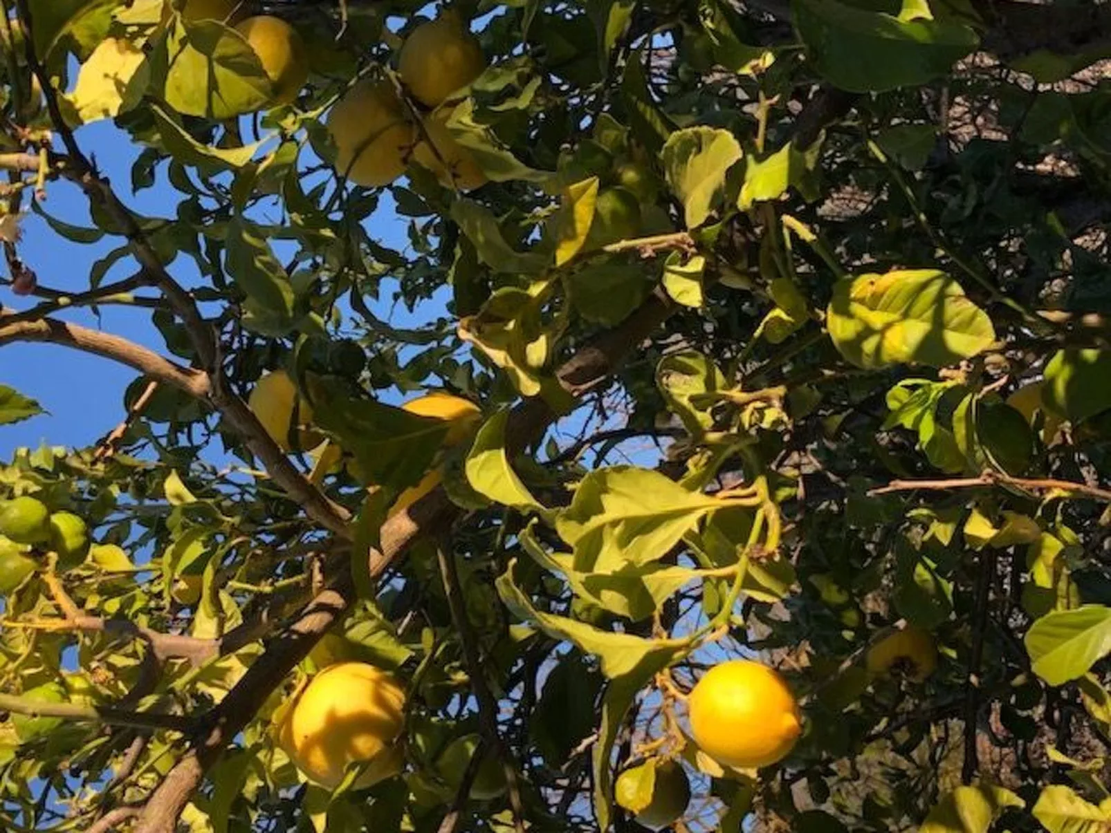 Las Tortugas - Buiten