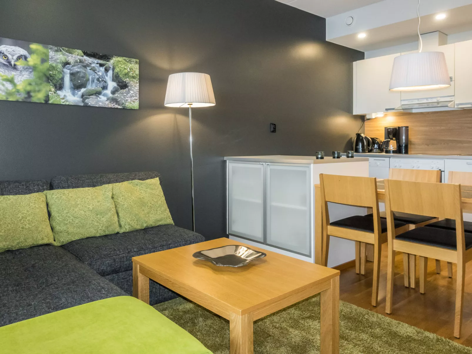 Levi chalets 1602 - Binnen