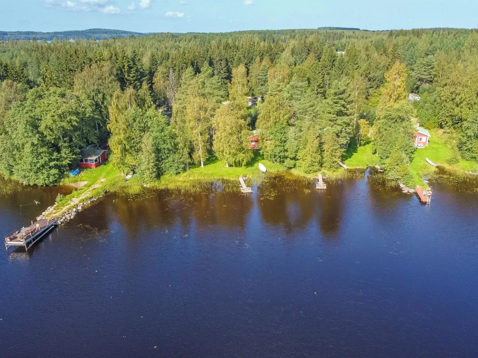 Saniainen 5 - Binnen