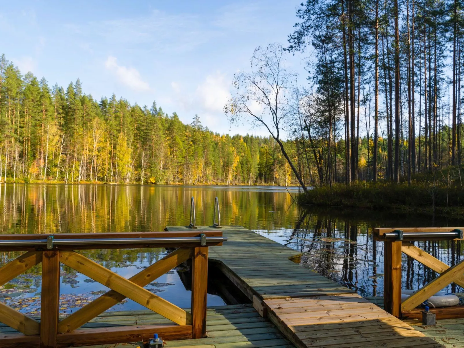 Villa tunturitervakko - Binnen