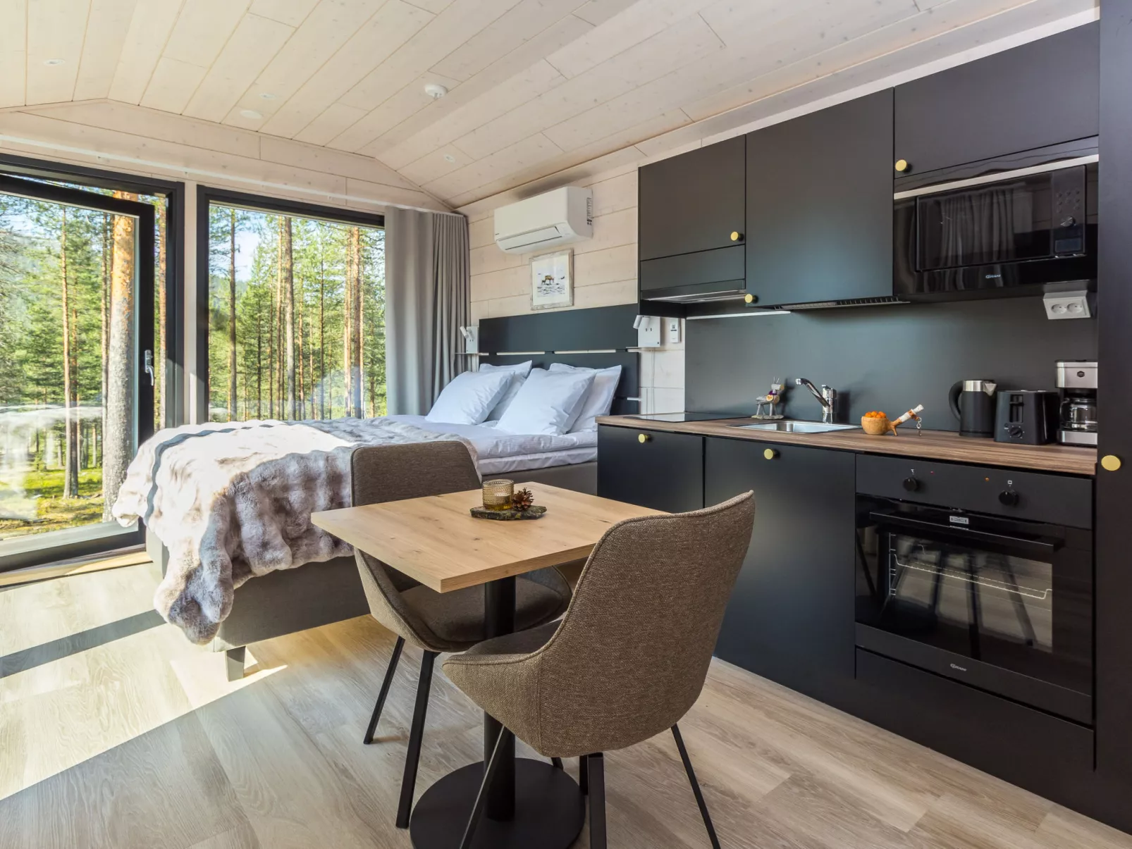 Visit pyhä cabins c - Binnen