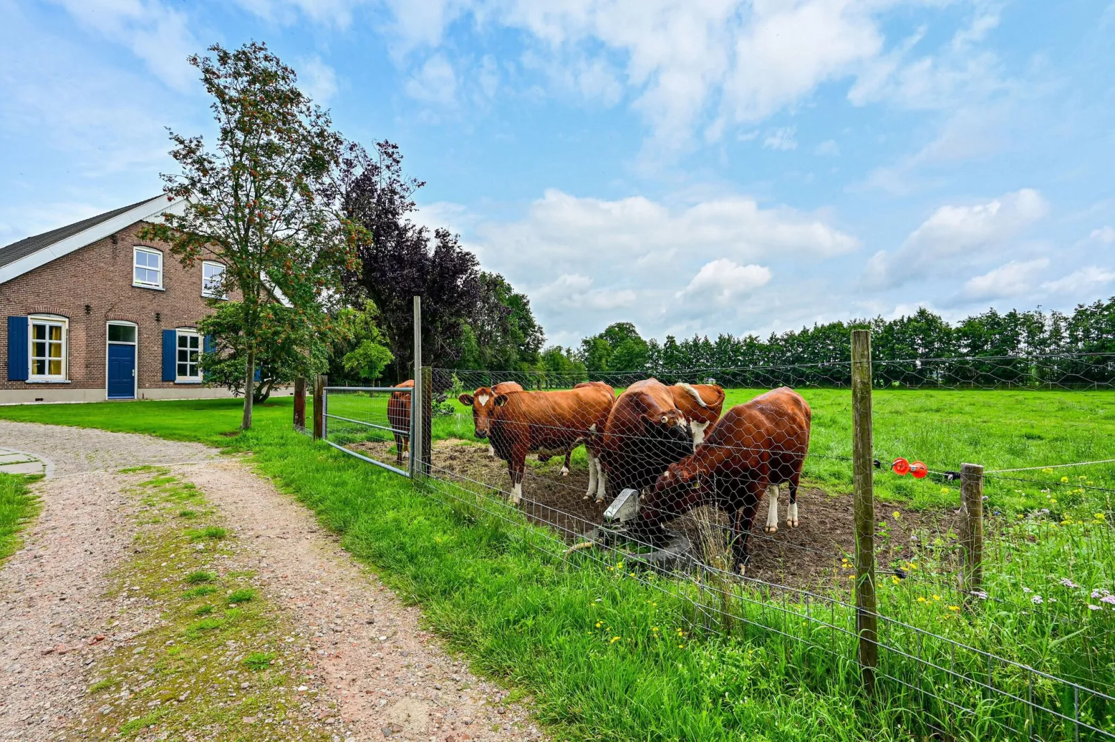 Welskerveen - 4 personen-Tuinen zomer