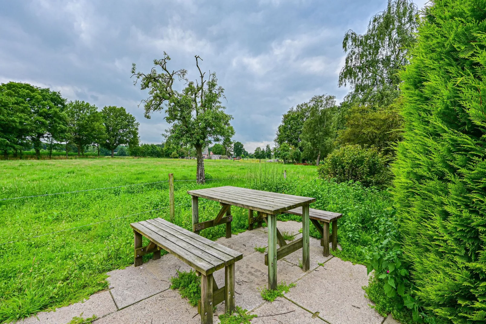 Welskerveen - 4 personen-Tuinen zomer