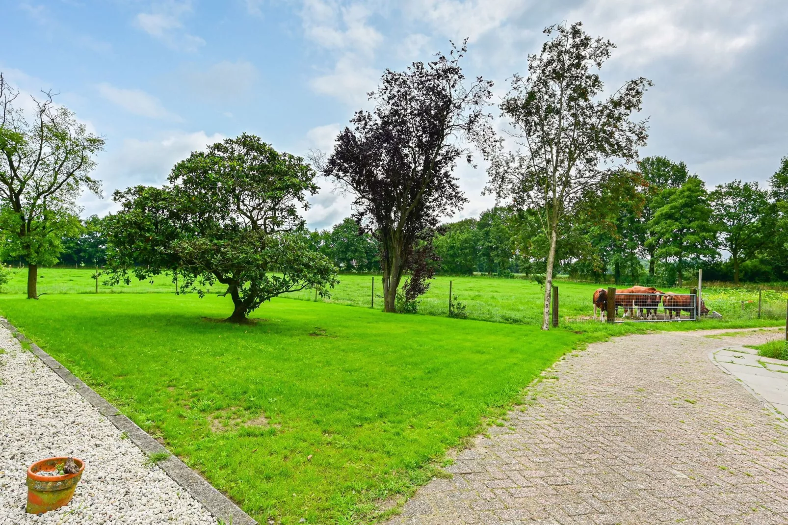 Welskerveen - 4 personen-Gebieden zomer 1km