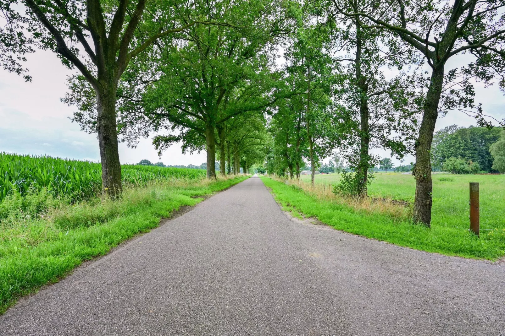 Welskerveen - 4 personen-Gebieden zomer 5km