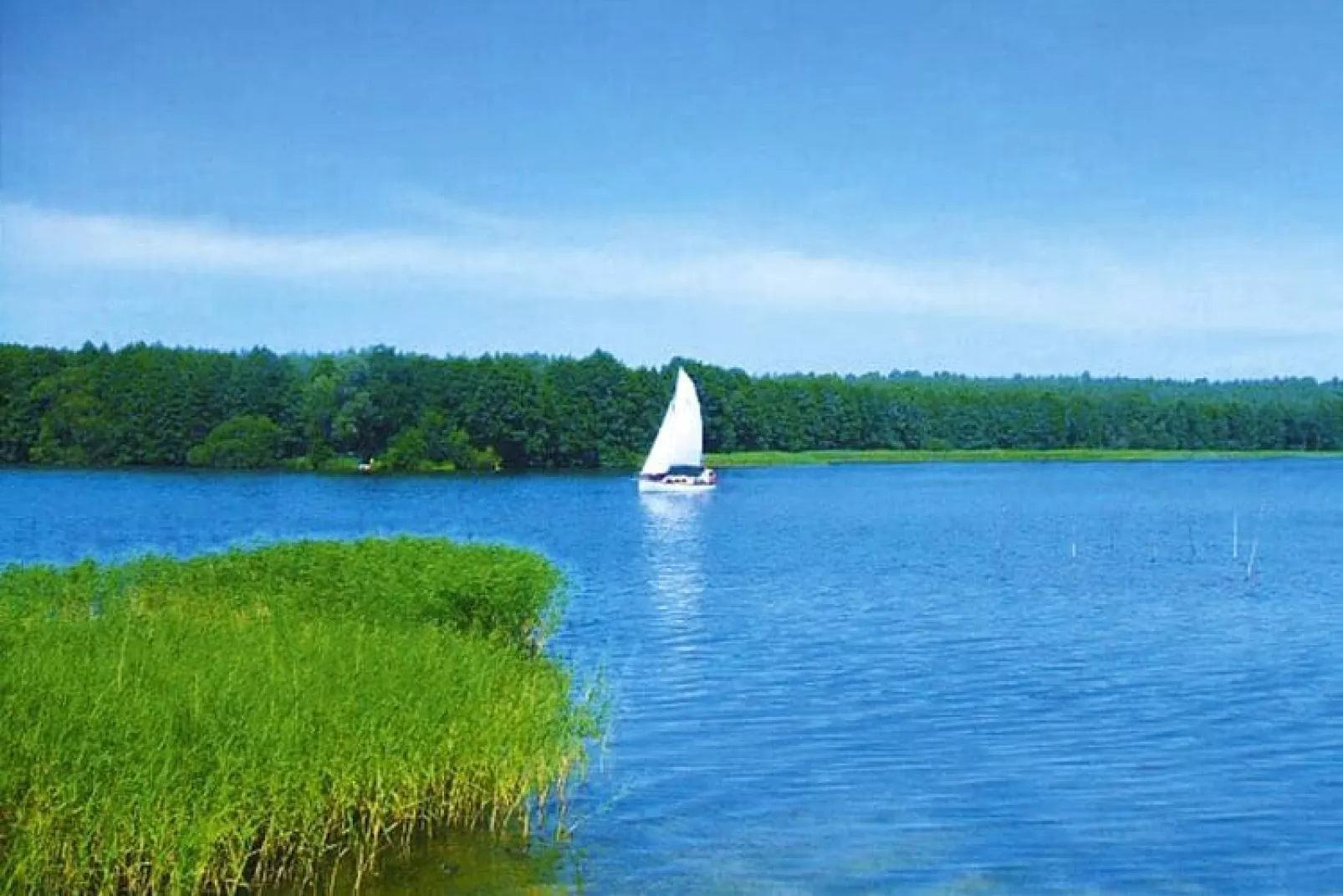 Domek letniskowy Dąbrowica-Waterzicht