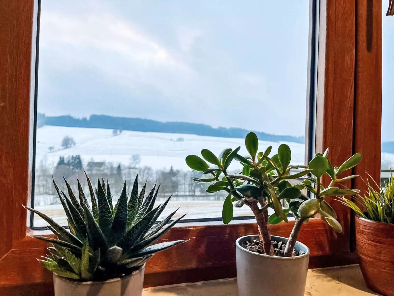 Green Valley Park Stárkov 21 - Binnen