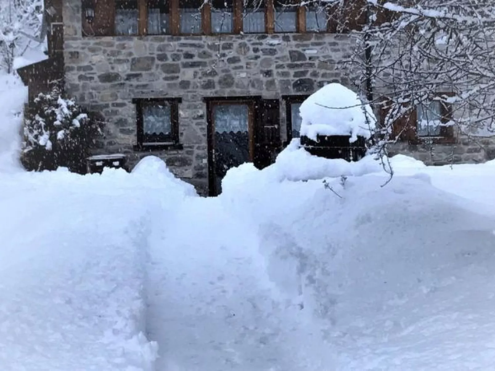 A l'Orée du Bisse - Anzère - Buiten