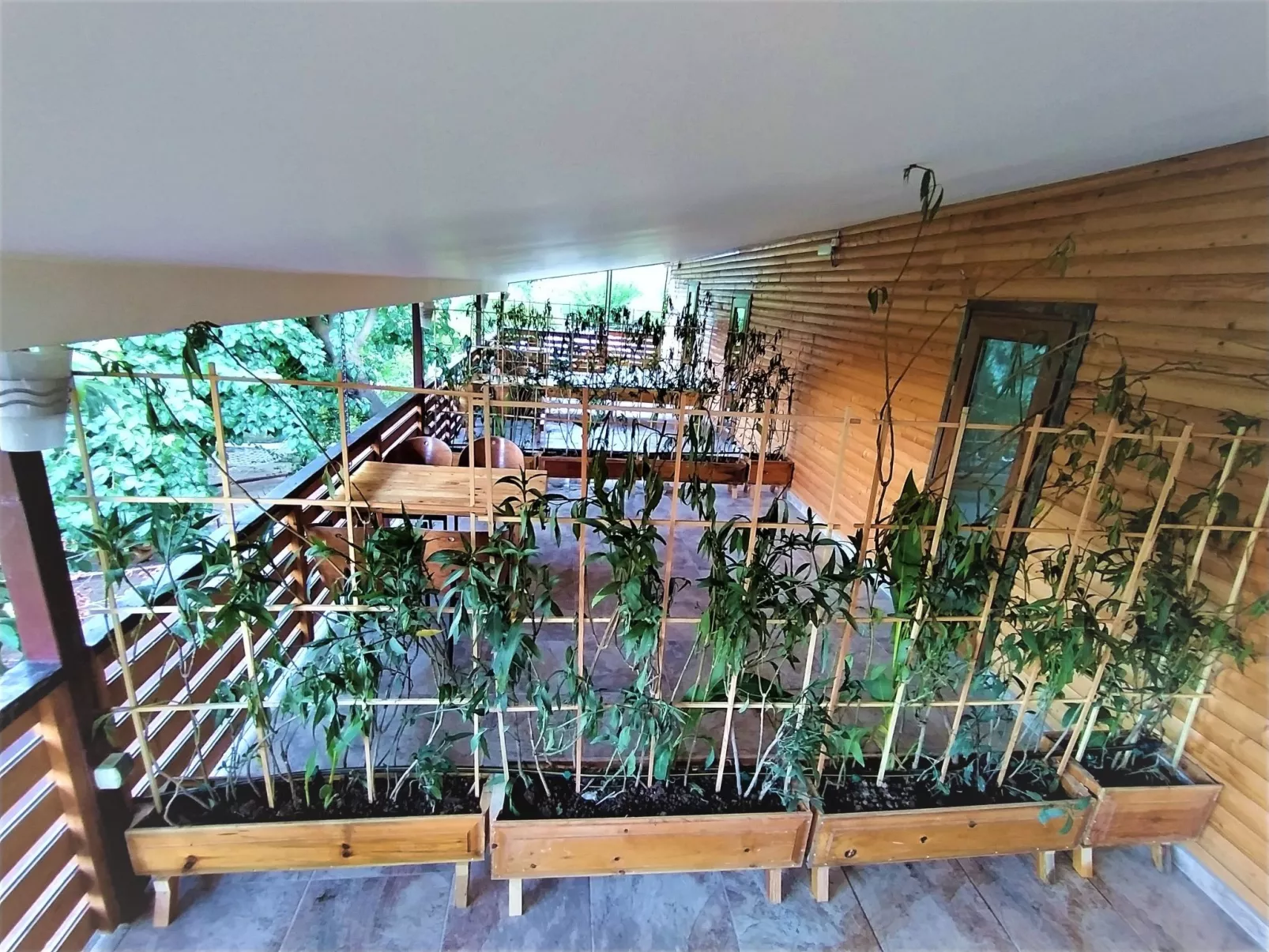 Luxuriöse Duplex-Wohnungen in Cirali - Buiten