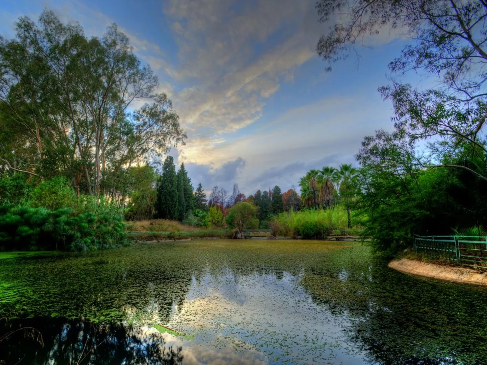 Villa dei Papiri - Standardzimmer mit Fenster zum Garten - Image-tags.info