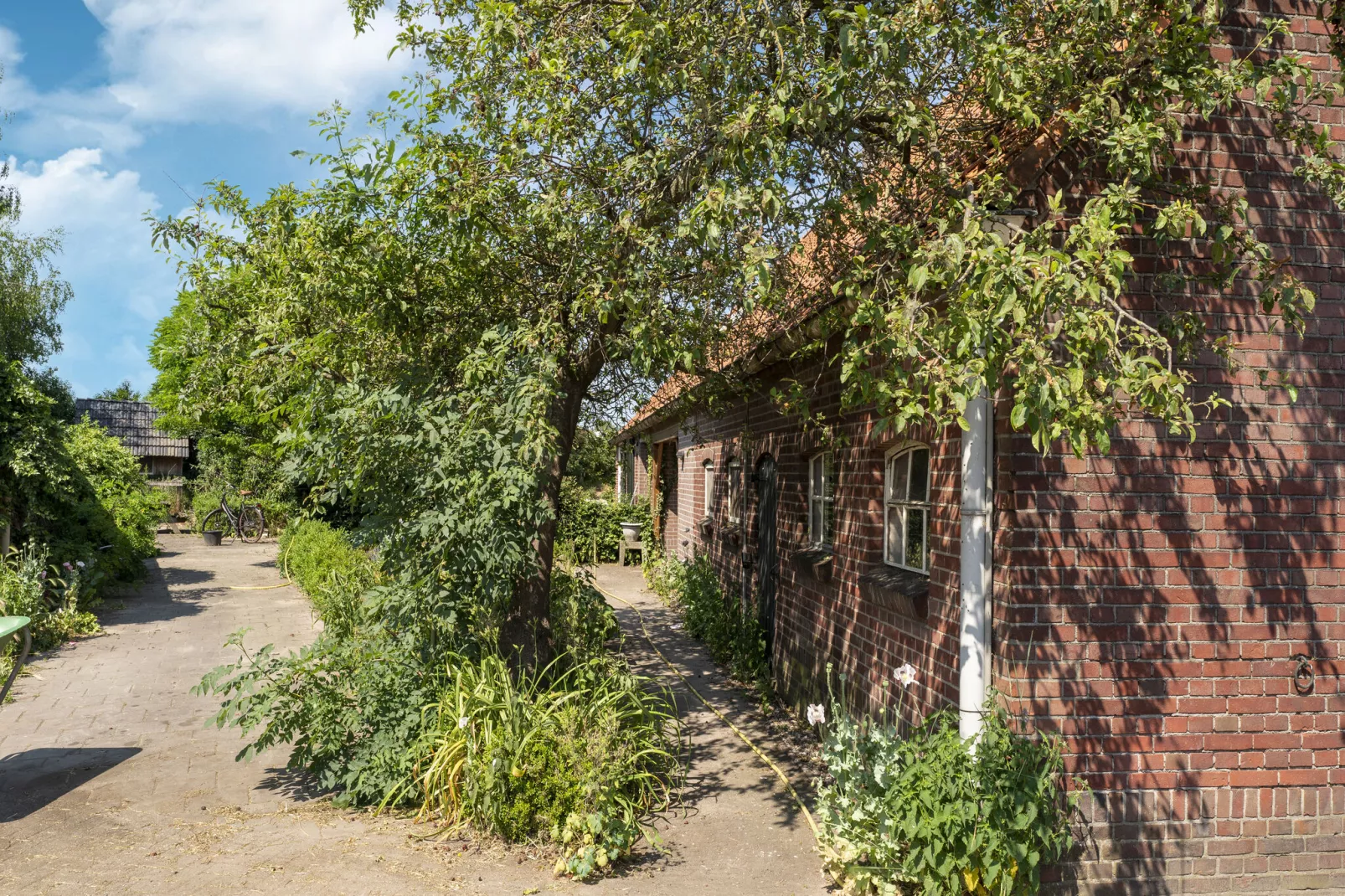 Vakantiewoning de Zwaluw-Tuinen zomer