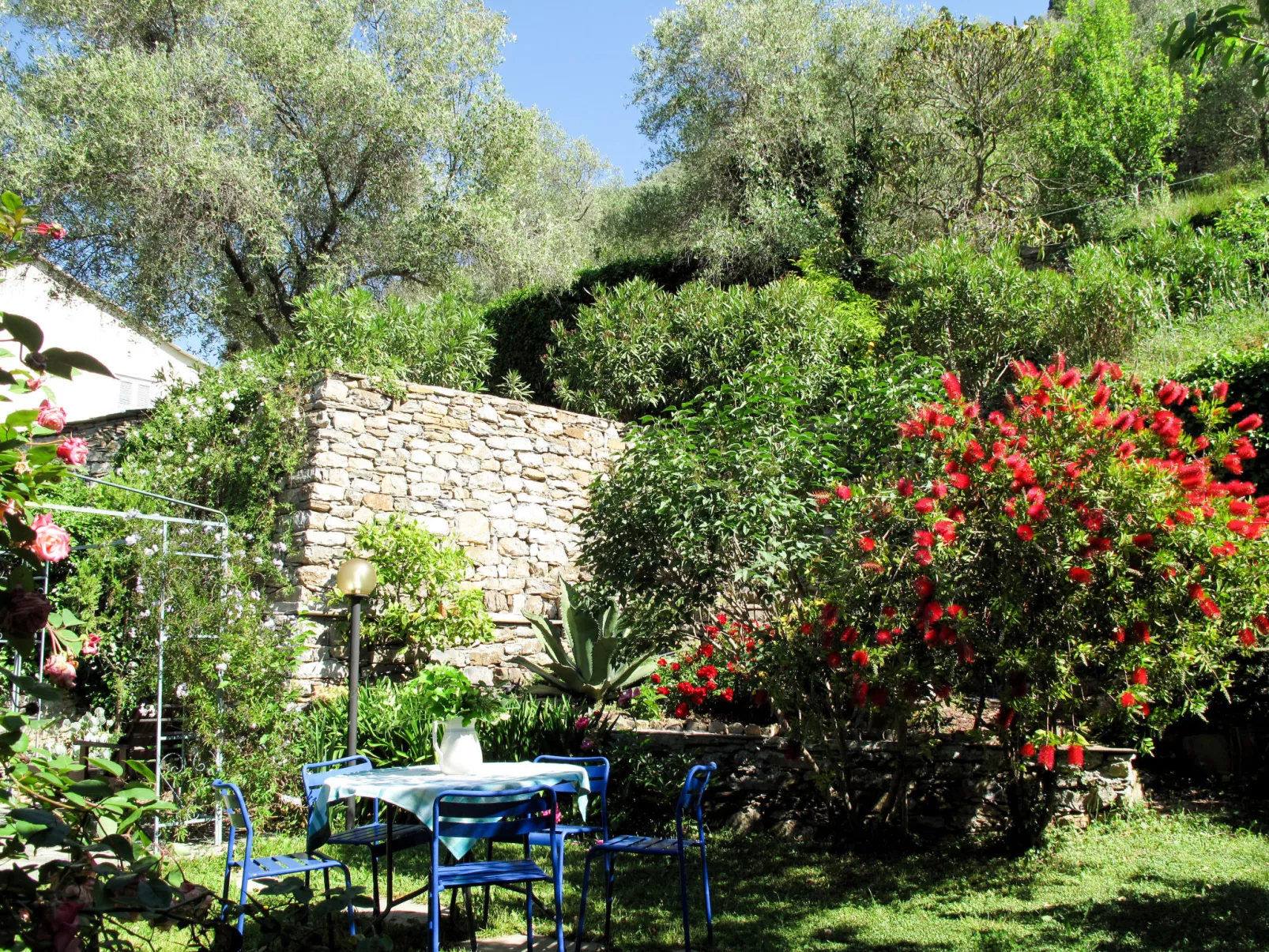 Valeria (PRE131) - Buiten