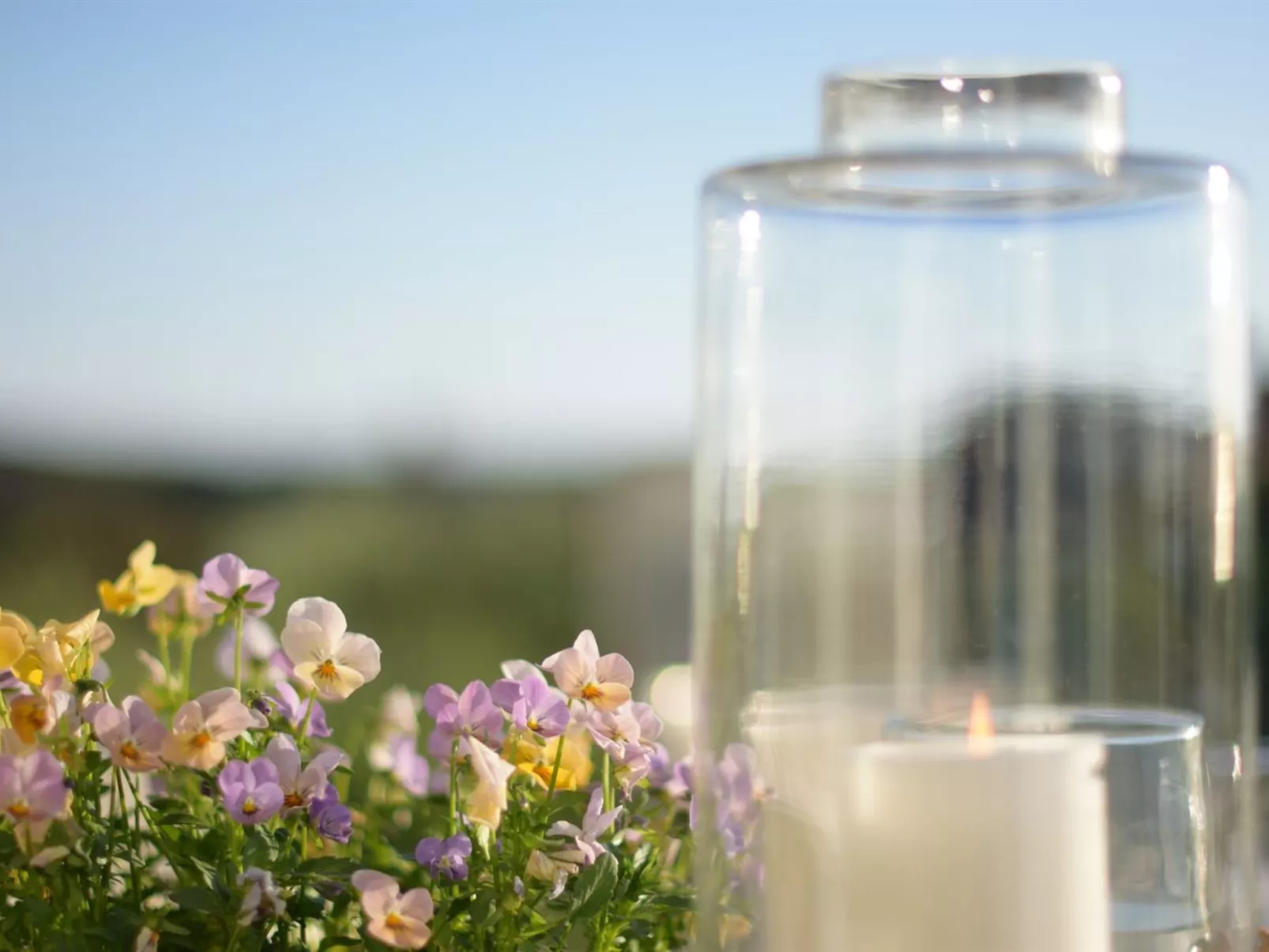 "Walderik" - 423m from the sea - Binnen