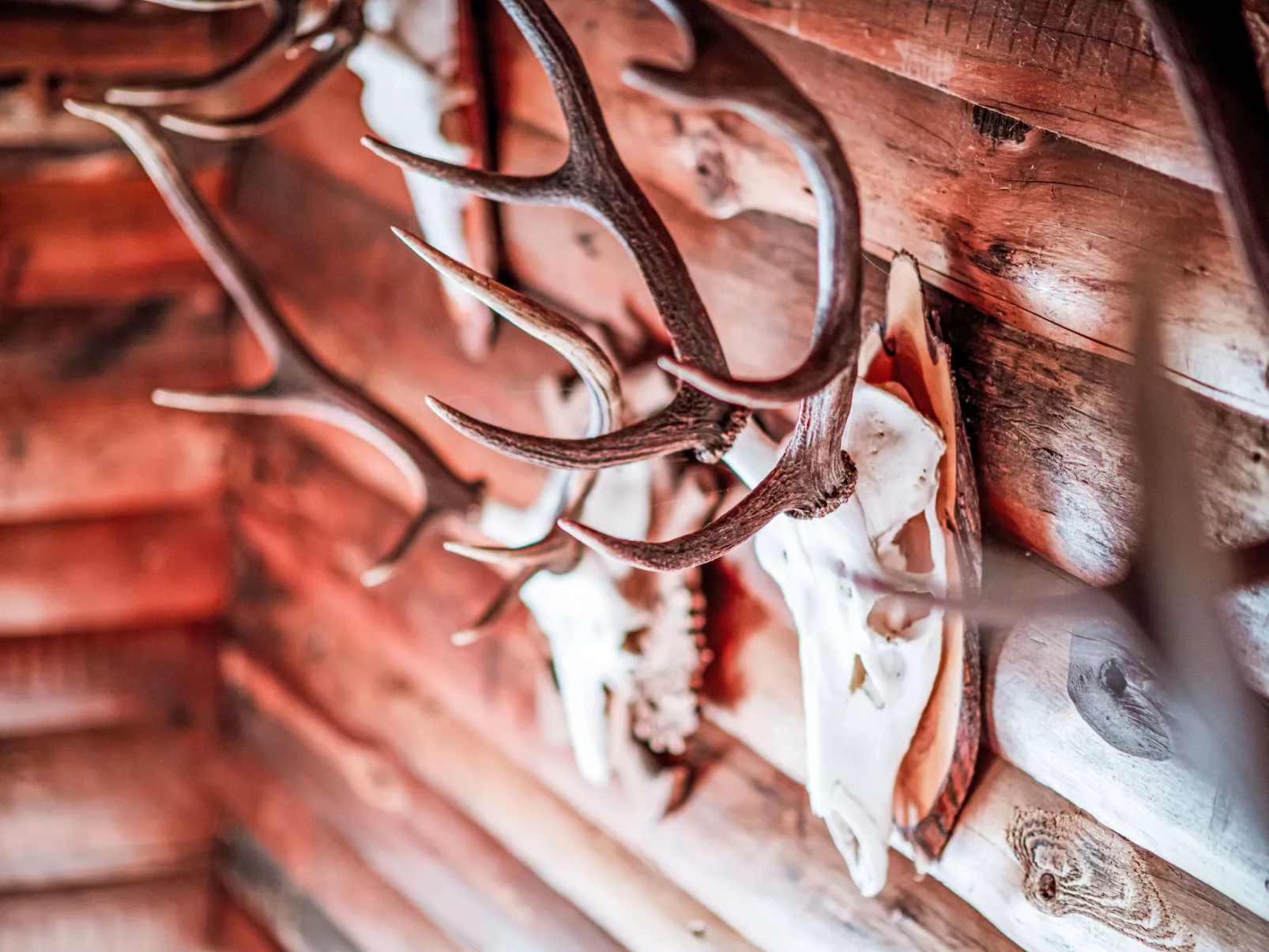 Ferienwohnung Gartenblick - Binnen