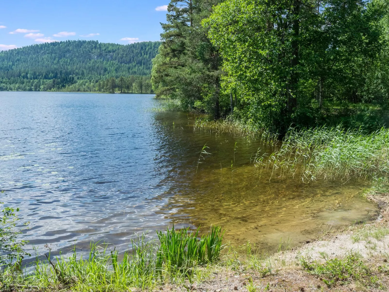 Loma-koli 1 - Binnen