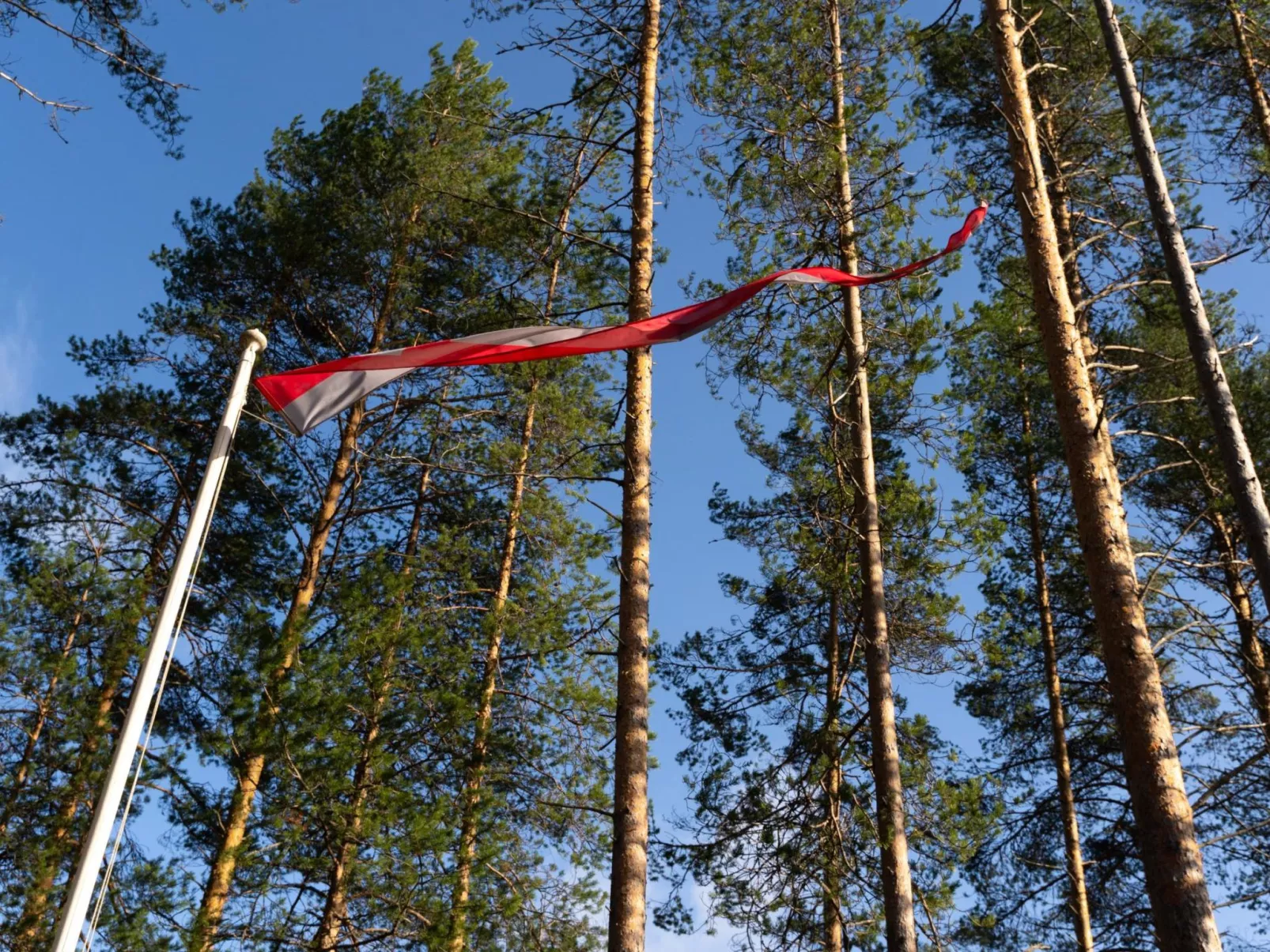 Villa käpytikka - Binnen