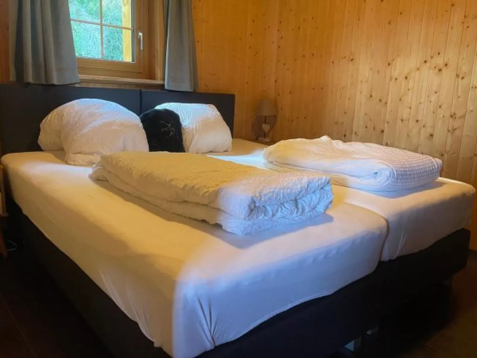 Tiny House facing the Alps - Ski in and out - Binnen