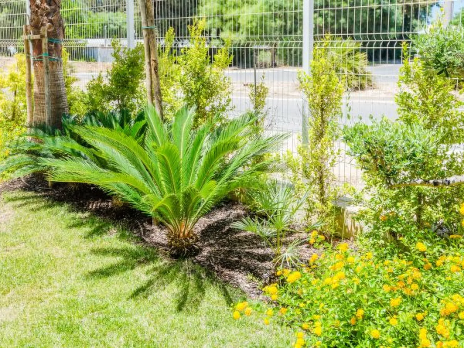 Lakes 24 at Praia da Falesia Vilamoura - Buiten