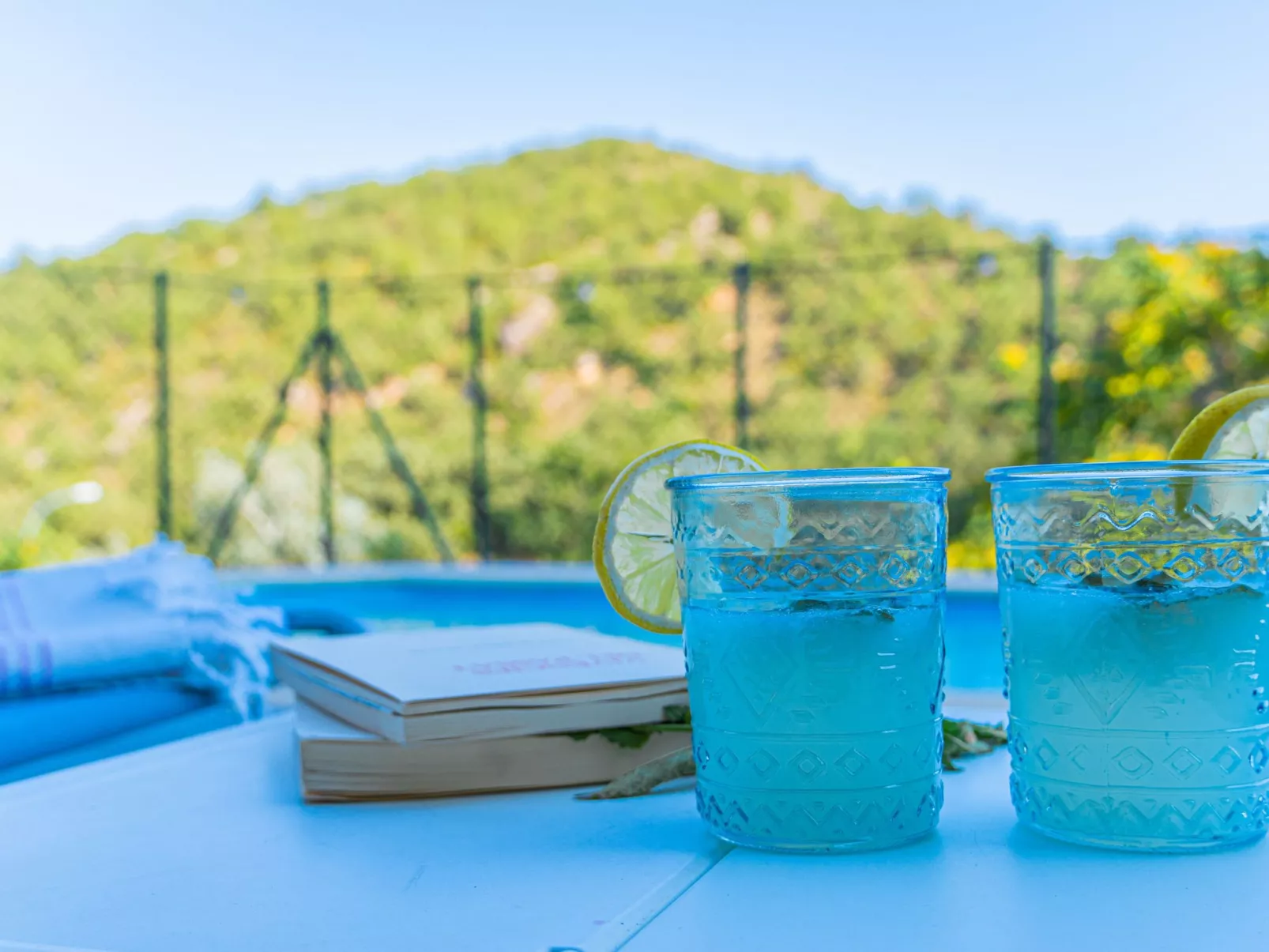 Ländliches Haus Cal Xamora - Buiten