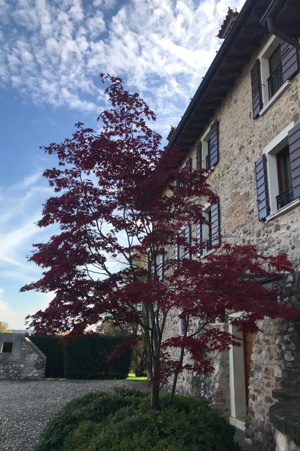 Gelbes Zimmer - Buiten