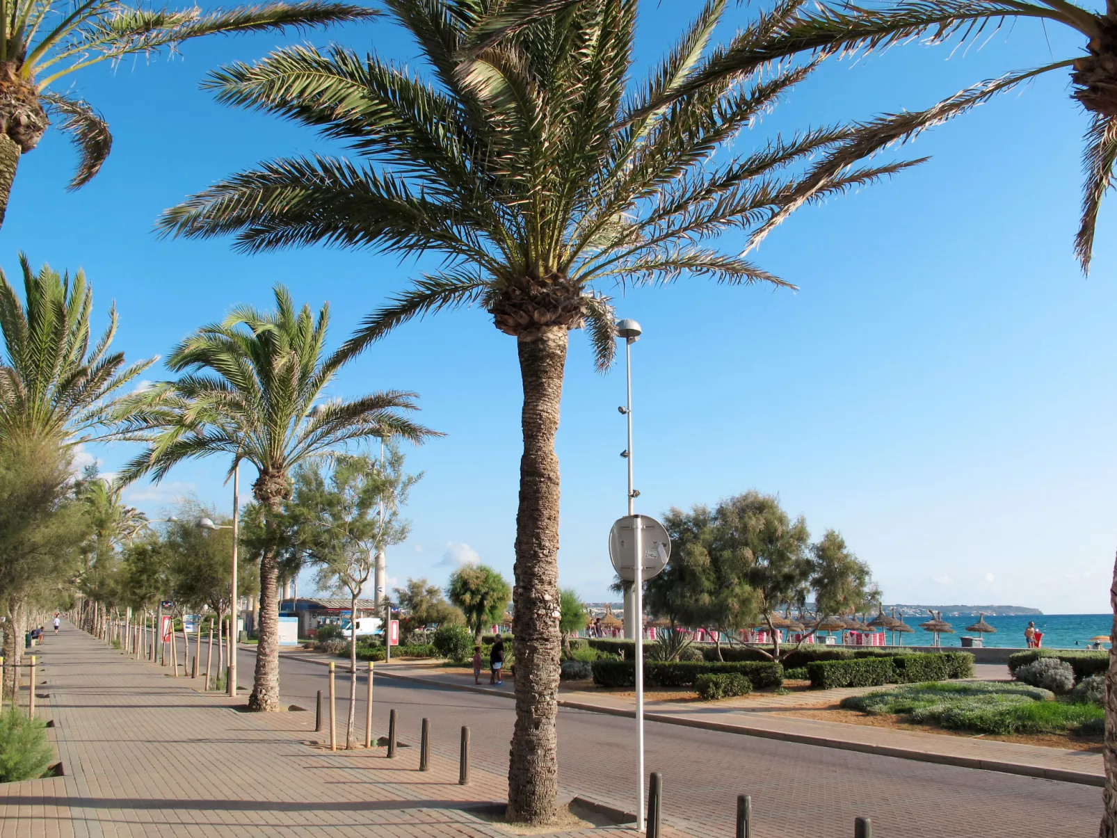 Caballeria 12 - Omgeving