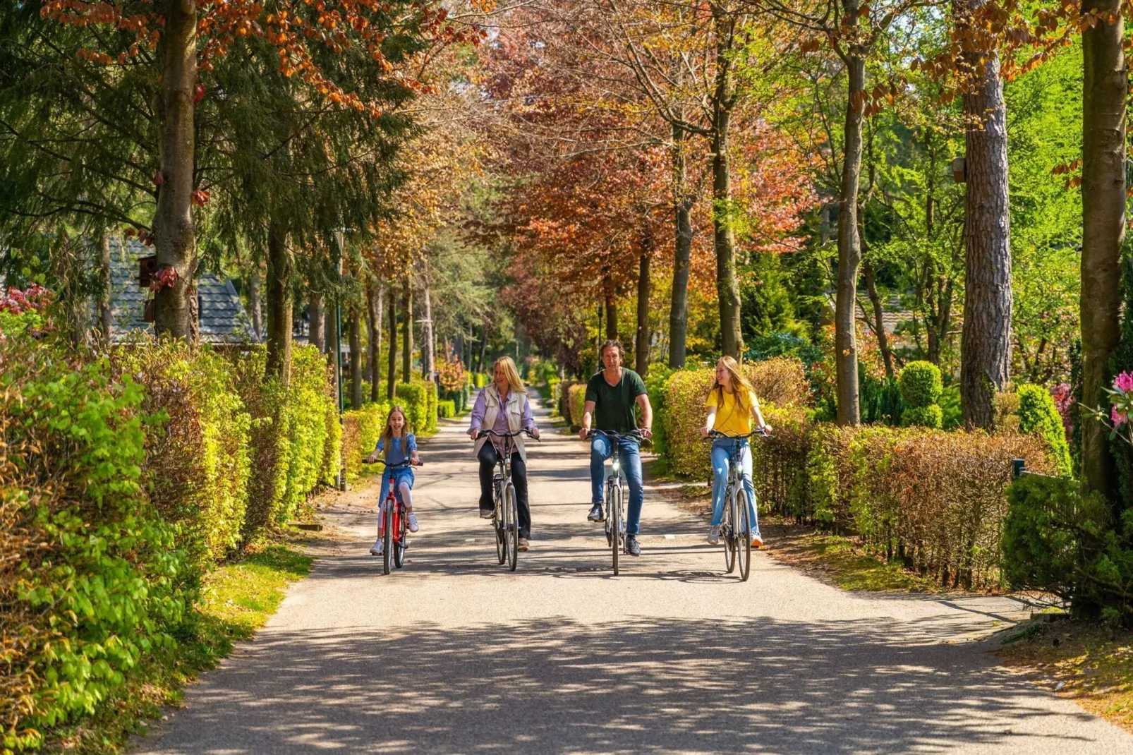 Resort Beekbergen 1-Parkfaciliteiten