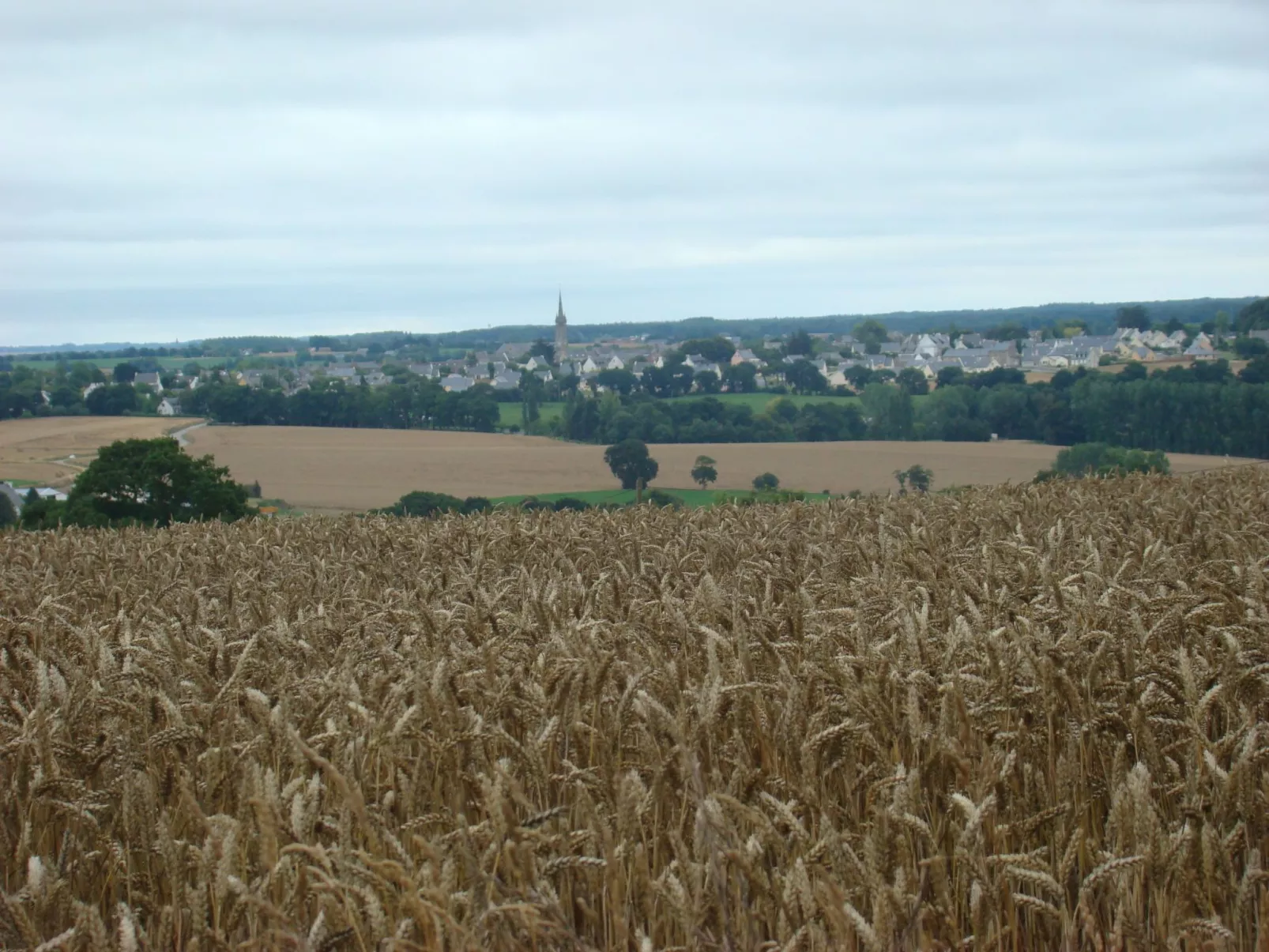 Für 4 Personen ca. 35 m&sup2;in Hénanbihen, Bretagne (Côtes-d'Armor) - Buiten