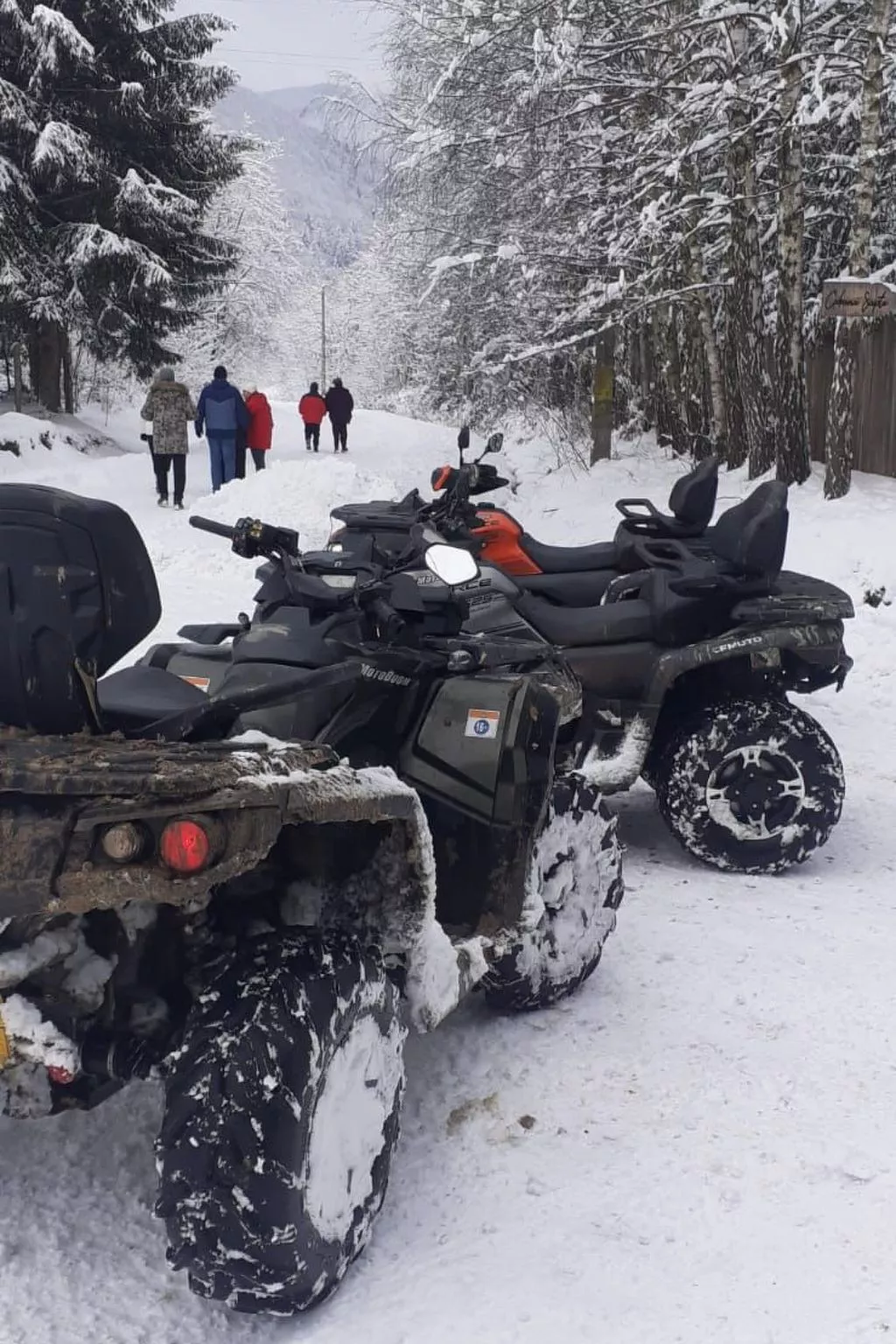 Vila Roberta Breaza Brasov - Buiten